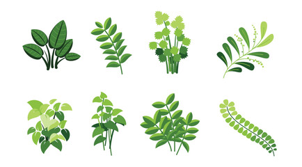 Indoor Houseplants vector illustration