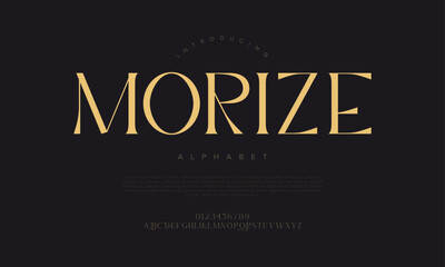 Elegant serif font with tall contrast strokes and refined details. Suited for branding, logos, and editorials