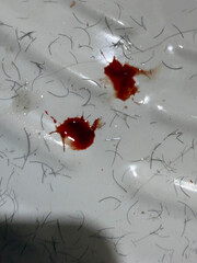red blood splash on the wite background, arounded with the hairs