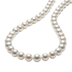 Obraz premium pearl necklace isolated on white