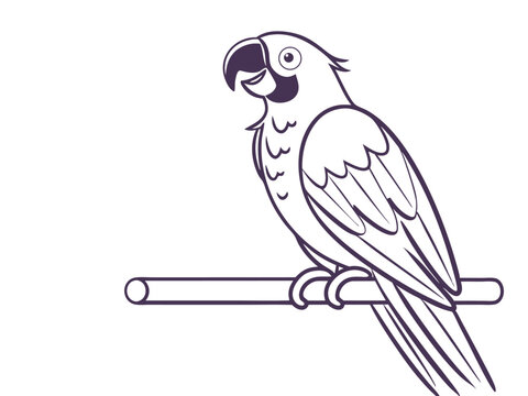 Simple black and white parrot perched on a wooden branch