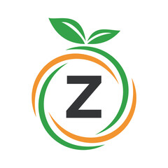  Initial Orange Logo combine with letter Z vector template