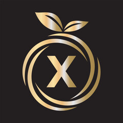  Initial Orange Logo combine with letter X vector template