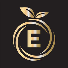  Initial Orange Logo combine with letter E vector template
