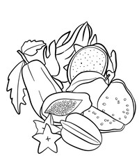 Hand drawn tropical fruits, Coloring pages, fruits coloring book line art for kids, adult