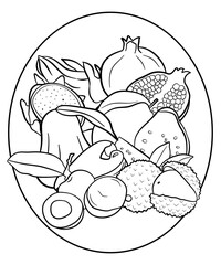 Hand drawn tropical fruits, Coloring pages, fruits coloring book line art for kids, adult.