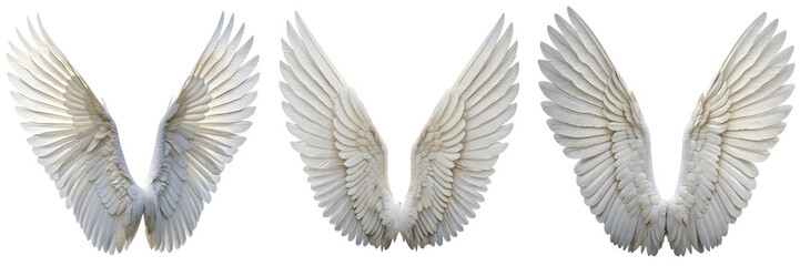 Fototapeta premium Three pairs of white angel wings isolated on transparent background