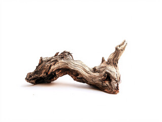 Weathered driftwood piece with natural curves and smooth texture on white background. Organic sculptural wood element shaped by water and time erosion