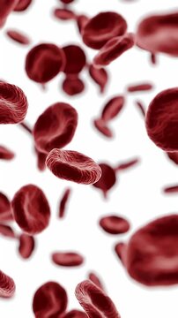 Flowing Red Blood Cells on White Background Symbolizing Health and Circulation High Angle