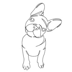 One continuous single drawing line art flat doodle dog, pet, animal, breed, cute, canine, puppy, pedigreed, friend. Isolated image hand draw contour on a white background
