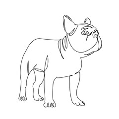 One continuous single drawing line art flat doodle dog, pet, animal, breed, cute, canine, puppy, pedigreed, friend. Isolated image hand draw contour on a white background
