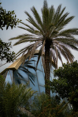 Greenhouse at EXPO 2016 Antalya – Botanical Architecture in Natural Light
