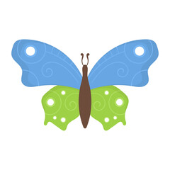 png macro butterfly design with orange yellow blue wing on white spring background festive insect artistic decoration natural style classic colourful wedding vector animal single object set

