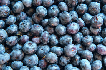 Fresh Blueberries Background. Piled Blueberry Spinning Backdrop. Sweetest Delight. Vibrant closeup of plump ripe blue berries are healthy recipes, snacks. Full frame. Ideal for food, health, nature