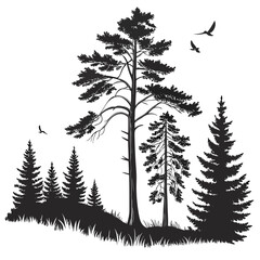 Obraz premium pine tree silhouette