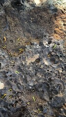 Rough Volcanic Rock Texture with Pitted Surface and Debris