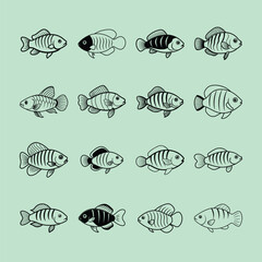 Emperor Tetra, aquarium fish line art illustration
