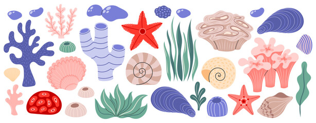 Coral, seaweed and sea shells set. Ocean exotic underwater seashells, plants, tropical coral-reef, starfish. Flat vector illustration isolated on white background