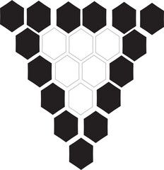 Black and White Hexagon Grid Design