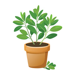 Small Potted Green Plant Illustration