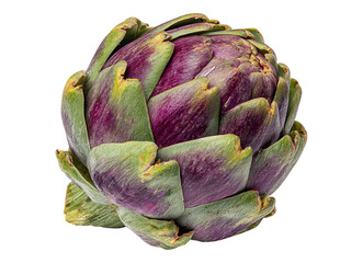 Obraz premium Artichoke on white