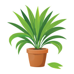 Green Houseplant in Brown Pot