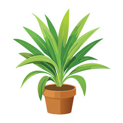 Lush Green Plant in Pot
