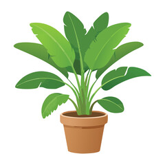 Broad Leaf Plant Brown Pot