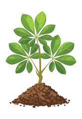 Green Plant with Unique Lobed Leaves