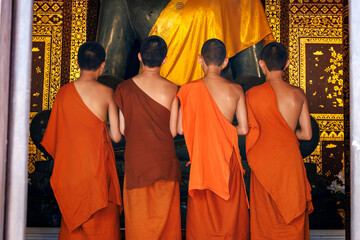 young buddhist novice monks, seen from behind, looking at big buddha statue in golden sash in Wat Chedi Luang temple, Chiang Mai, Thailand.