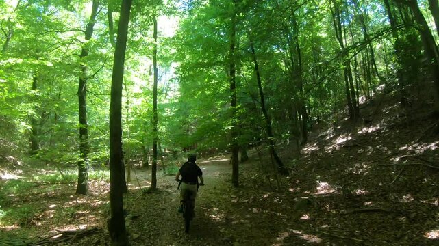 Dashing through crunchy leaves, the biker leans into curves as sunlight pierces the tree canopy, creating dazzling patches of flickering light.