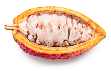 Half of fresh opened cocoa pod with isolated on white background. File contains clipping path.