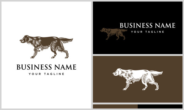 Hunting Dog Logo Design Variations.