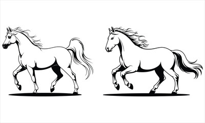 horse vector illustration