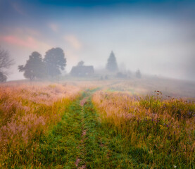 Foggy autumn sunrise in mountains farmland with old road. Amazing morning landscape of Carpathian mountains, Ukrainiane, Europe. Beauty of countryside concept background..