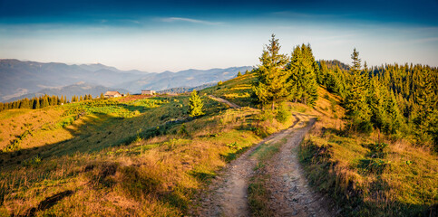 Panoramic summer view of  mountain farmland with old country road, Ukraine, Europe. Colorful morning scene of Carpathian mountains. Beauty of countryside concept background..