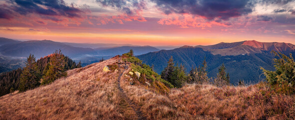 Stunning autumn sunset on Darvaika Peak. Panoramic morning view of Carpathian mountains, Ukraine, Europe. Beauty of nature concept background.