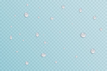 Vector water drops.Realistic raindrops.Bubbles, rain, water.EPS 10.