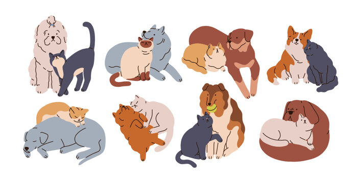 Dog and cat friends set. Cute pets, canine and feline animals hugging, cuddling, playing, sleeping and relaxing together with love, friendship. Flat vector illustrations isolated on white background