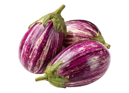Fresh purple striped eggplant