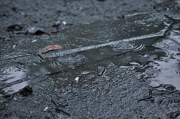 water drops on the ground