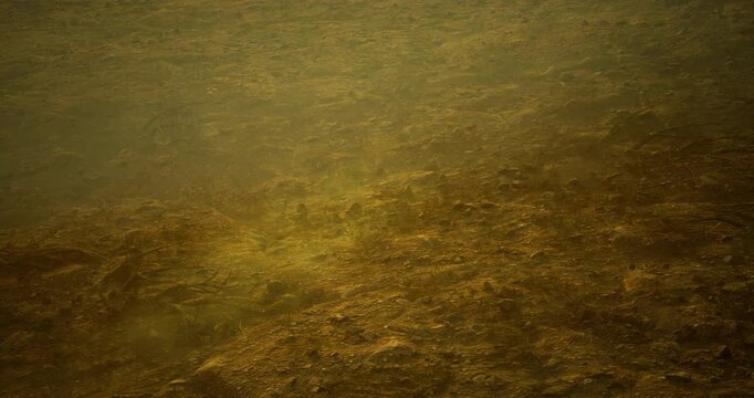 Shallow water reveals a sandy bottom dotted with aquatic vegetation, showcasing a murky yet tranquil environment, captured during the afternoon light.