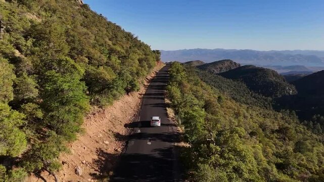 Driving Down Forest Road, Steep drop off, trees and bushes, Valley in background, aerial view, From Desert to Tall Pines Scenic Byway, State Route 288 from Roosevelt Lake to Young Arizona