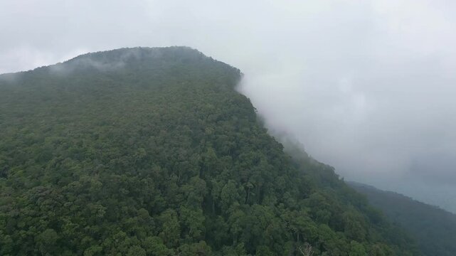Jungle peak shrouded in low laying cloudes.