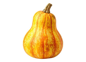 Whole butternut squash