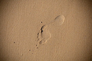 Single human footprint in smooth golden sand, photographed in natural light with no other objects...