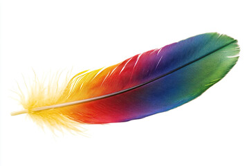 Isolated Rainbow Colored Feathers White