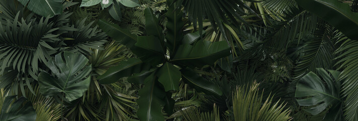 tropical plants from top view in panoramic shot. 3D Rendering