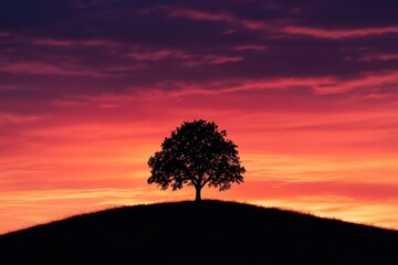 Small tree against colorful sunset sky