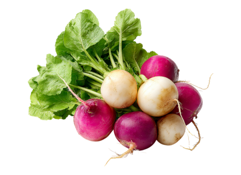 Bunch fresh turnips